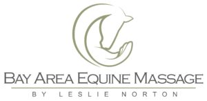 Bay Area Equine Massage
